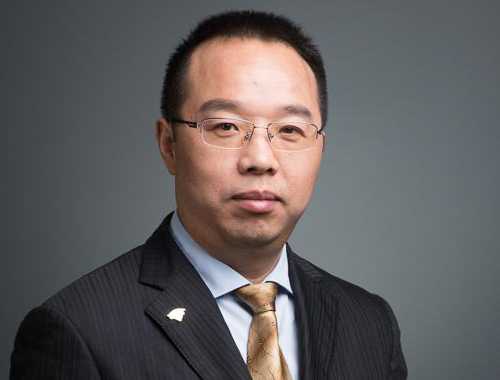 力量发展(01277.HK)获执行董事李波增持20万股